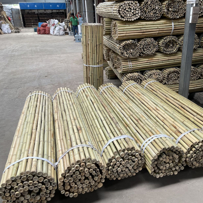 Het kleurrijke Ruwe Bamboe Polen van het Bamboeriet voor Tuinlandbouw