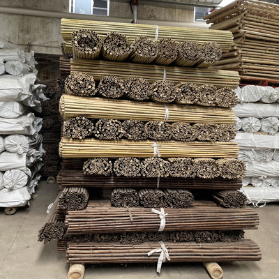 Het kleurrijke Ruwe Bamboe Polen van het Bamboeriet voor Tuinlandbouw
