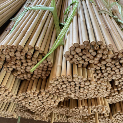 Natuurlijke de Steunstaken van de Bamboeinstallatie voor Binneninstallaties, van het de Tuinbamboe van Polen van Bamboestokken Staak 40cm 595cm