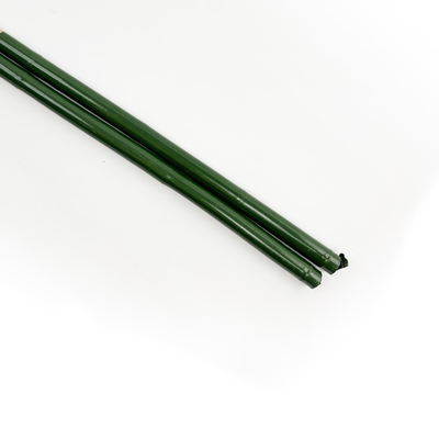 40cm 60cm 90cm 120cm Groen Schilderen van Polen van het Lengte het Groene Bamboe