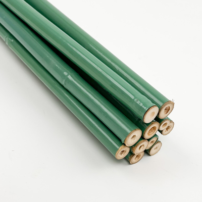 Natuurlijke Gecarboniseerde Zwarte het Schilderen Kleur 3 van Bamboevoet Stokken voor Decoratie