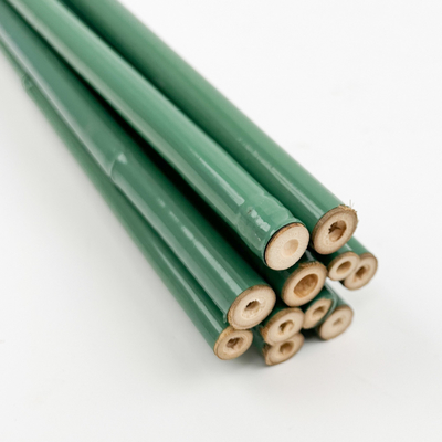 Natuurlijke Gecarboniseerde Zwarte het Schilderen Kleur 3 van Bamboevoet Stokken voor Decoratie