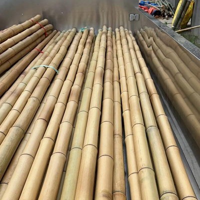 18 mm tot 160 mm Diameter Bamboestik Moso Bamboestik Bouwbouw Landbouw