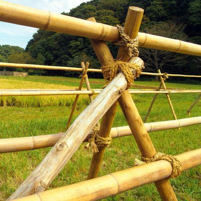 Ruw Bamboe Pool 100% Natuurlijk voor het Tuinieren Bouw en Decoratie het Riet/de Staken van het Hoogste Kwaliteitsbamboe