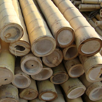 Ruw Bamboe Pool 100% Natuurlijk voor het Tuinieren Bouw en Decoratie het Riet/de Staken van het Hoogste Kwaliteitsbamboe