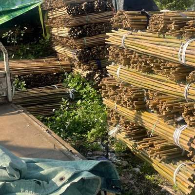 Ruw Bamboe Pool 100% Natuurlijk voor het Tuinieren Bouw en Decoratie het Riet/de Staken van het Hoogste Kwaliteitsbamboe