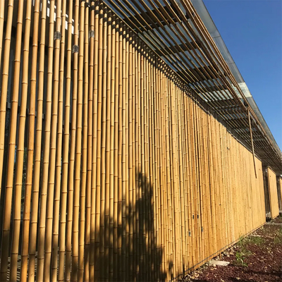 Ruw Bamboe Pool 100% Natuurlijk voor het Tuinieren Bouw en Decoratie het Riet/de Staken van het Hoogste Kwaliteitsbamboe