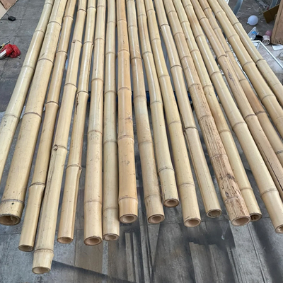 Het natuurlijke 10 Voet Bamboe Pool van Moso voor de Bouw van Tuinbouw