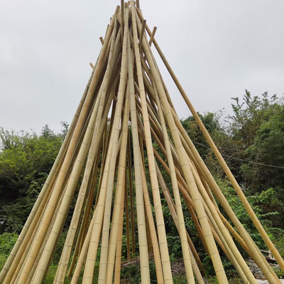 Het natuurlijke 10 Voet Bamboe Pool van Moso voor de Bouw van Tuinbouw