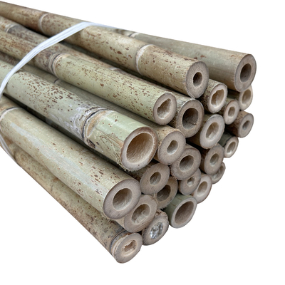 Rechte Bamboe Polen van het aard het Ruwe Bamboe voor de Bouw van de de Installatiesteun van het Tuinlandbouwbedrijf