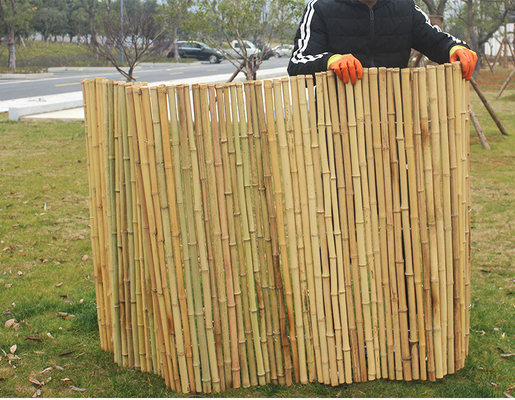 Gerookt Decoratief de Plantenkwekerij Groen Huis van Screen Fencing For van de Bamboeomheining