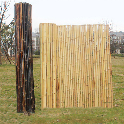 Gerookt Decoratief de Plantenkwekerij Groen Huis van Screen Fencing For van de Bamboeomheining