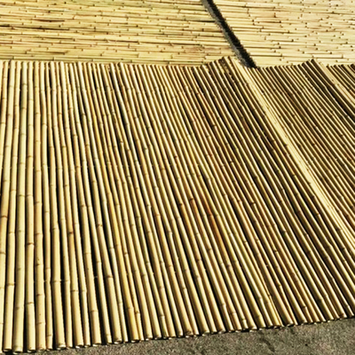 De Grensomheining 180cm 240cm Bamboeomheining Panels Garden Border van de Eco Vriendschappelijke Tuin