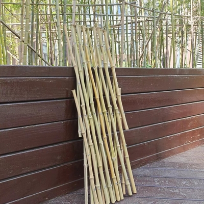 Het uitzetbare het Latwerktuin van Bamboepolen Flexibele Schermen voor Balkondecoratie 120*180cm