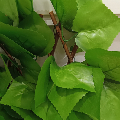 De kunstmatige Decoratie van de Omheiningsgarden for outdoor van Omheiningstelescopic hedge plastic