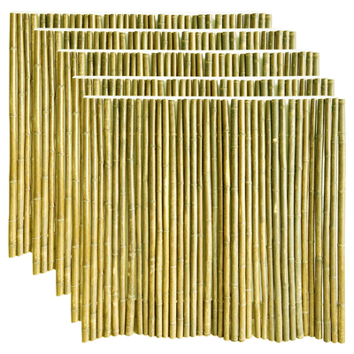 Van de het Kinderdagverblijf de Duurzame Tuin van de huistuin van de Omheiningsbamboo roller paneling Natuurlijke Kleur