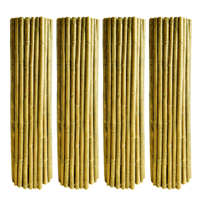 Natuurlijk Gekleurd Bamboe die 240cm Tuinbamboe Gerolde Omheining onderzoeken