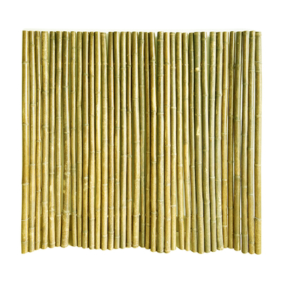 180cm Decoratief de Tuinbamboe Gerold Onderzoek van Natural Bamboo Fence van de Bamboeomheining