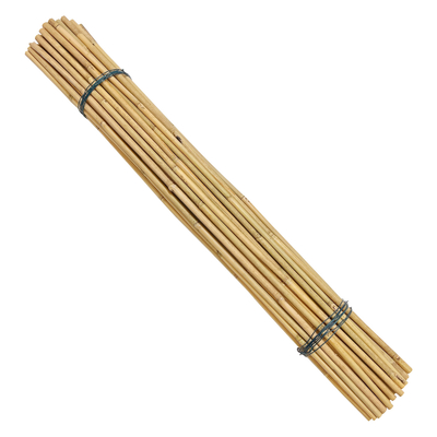 Tonkin bamboe riet voor planten groeien ondersteuning Custom size bamboe stok