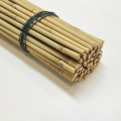 Tonkin bamboe riet voor planten groeien ondersteuning Custom size bamboe stok