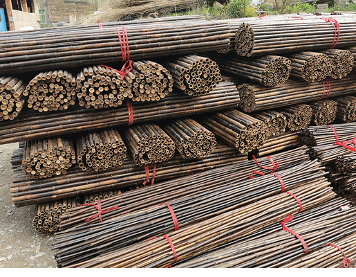 200x100 decoratieve Bamboeomheining