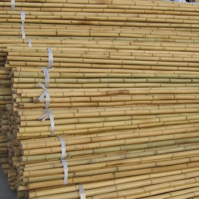 Bamboe Tuinstokken Stangen Tuinstokken Bamboe Plantstokken voor bonen Ertsen Komkommers Fruitplanten Bomen
