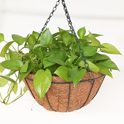 Coconut Coir Hanging Planters Outdoor Metalen Draadmanden Met Coco Liner Hangende Potten Voor Planten Binnen