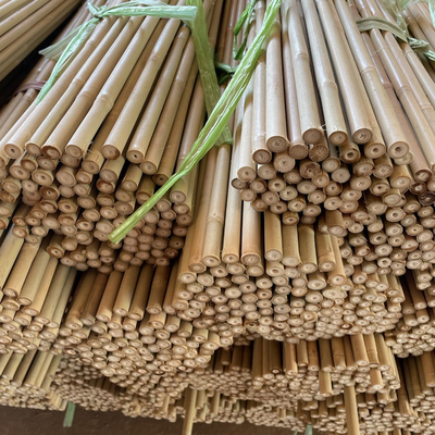 Natuur Raw bamboe palen Rechte bamboe boom palen Grote bamboe palen Voor decoratie