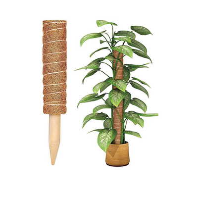 Kokospalm Coir Moss Stick Totem Pole Coco Coir Totem Pole Plantenondersteuning Uitbreiding Klimmen Inrichtingsplanten Kruipers
