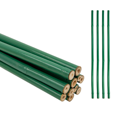 Op maat gemaakte groene PVC-gecoate bamboe behandelde bloemen steun Tonkin bamboe plastic buis paal