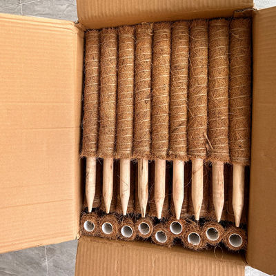 Plantondersteuning Kokosvezelstok Stevige Klimpaal voor Klimplanten