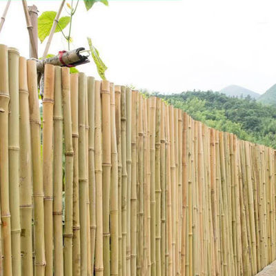 Natural Bamboo Pole 45cm-600cm for Garden Plant Support