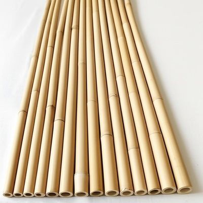 Natural Bamboo Pole 45cm-600cm for Garden Plant Support