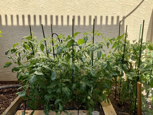 Metalen palen met plastic coating Groene tuinpalen voor plantenondersteuning Klimplanten Landschapsafscheiding