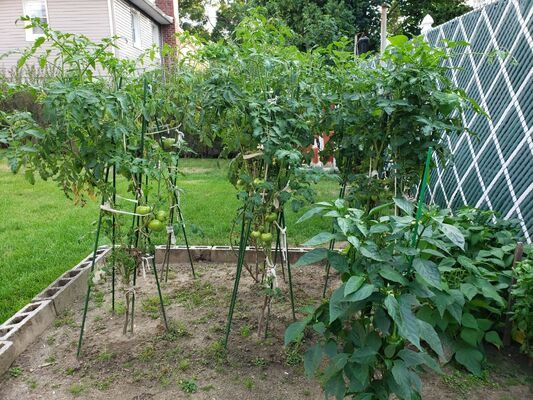 Metalen palen met plastic coating Groene tuinpalen voor plantenondersteuning Klimplanten Landschapsafscheiding