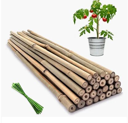 Tuinstokken, 18 inch natuurlijke bamboe-plantstokken, plantenondersteunende stokken met draaibanden, bamboe-stokken voor tomaten, bonen, bloemen, potplanten, binnenshuis- en buitenshuis klimplanten