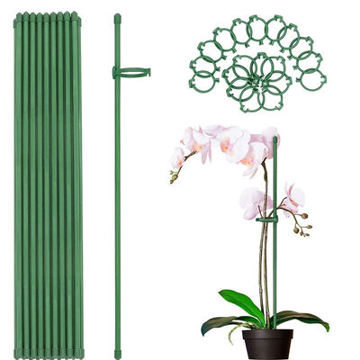 Metalen palen met plastic coating Groene tuinpalen voor plantenondersteuning Klimplanten Landschapsafscheiding