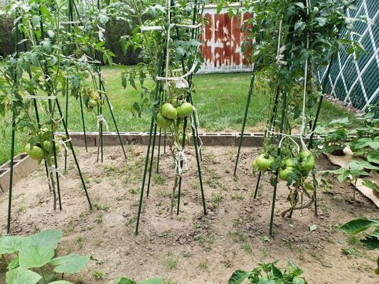 Metalen palen met plastic coating Groene tuinpalen voor plantenondersteuning Klimplanten Landschapsafscheiding
