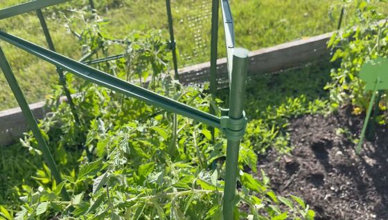 Metalen palen met plastic coating Groene tuinpalen voor plantenondersteuning Klimplanten Landschapsafscheiding