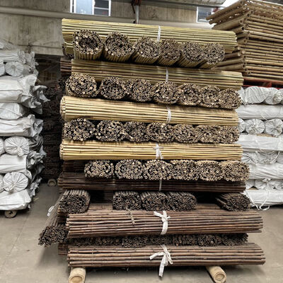 Eco Friendly Decorative Raw Bamboo Poles Dia.0.8cm x 100cm Lengte