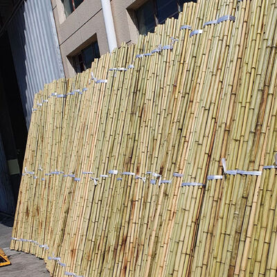 Eco Friendly Decorative Raw Bamboo Poles Dia.0.8cm x 100cm Lengte