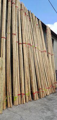 Eco Friendly Decorative Raw Bamboo Poles Dia.0.8cm x 100cm Lengte