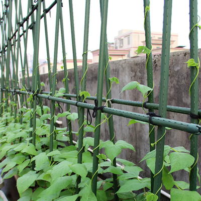 Metalen palen met plastic coating Groene tuinpalen voor plantenondersteuning Klimplanten Landschapsafscheiding